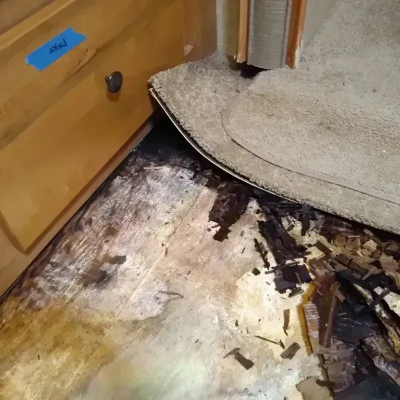 Wood Floor Water Damage in Perry, UT